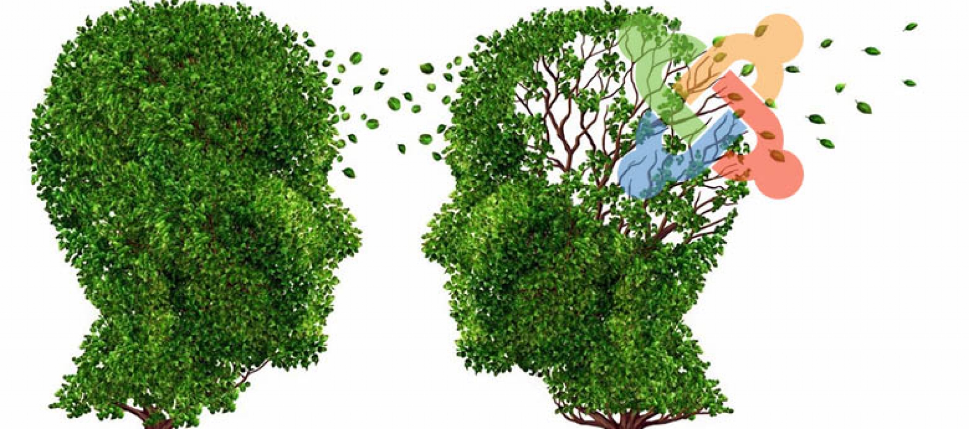 Joomla İle İlgili Farklı Önyargılar