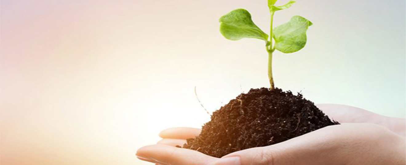 Web Sitenizin Karbon Ayak İzi Nedir?