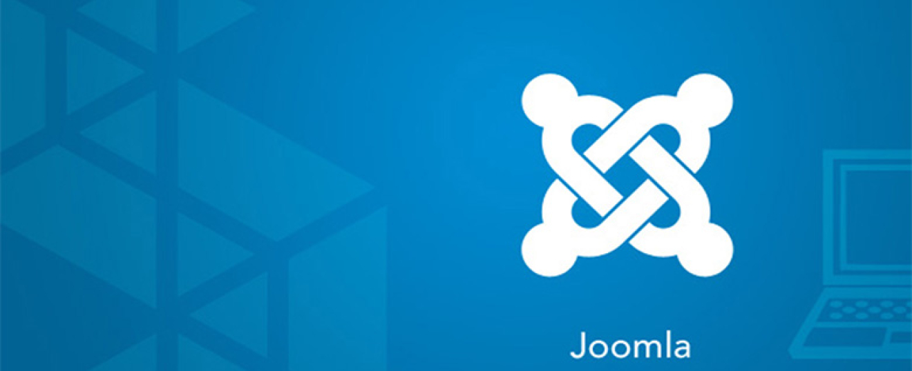 Joomla Misyon, Vizyon ve Değerler